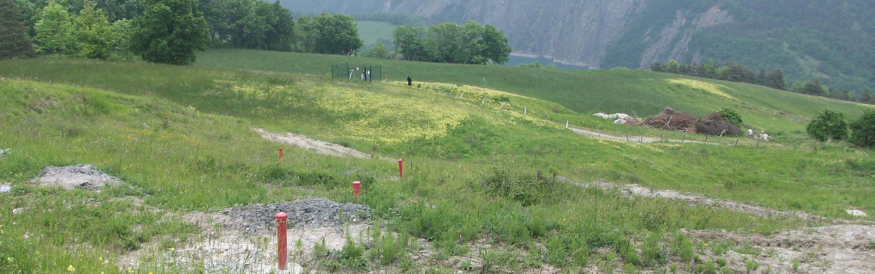 Avignonet/Harmalière landslides: hydrological borehole monitoring 