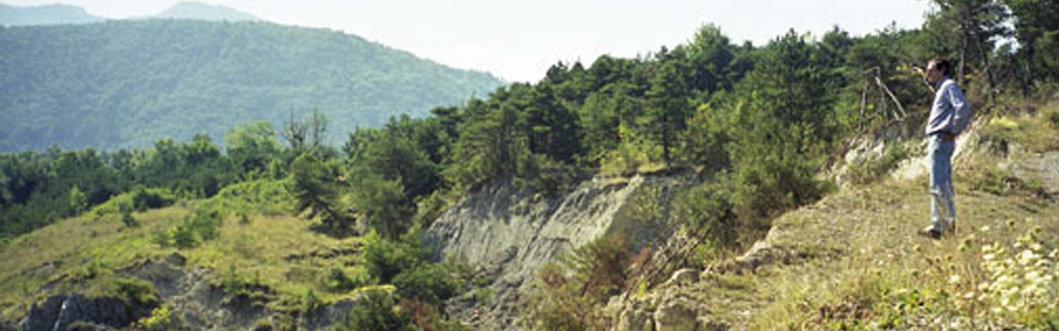 Avignonet/Harmalière landslides: main scarp in 2001 after a major reactivation 
